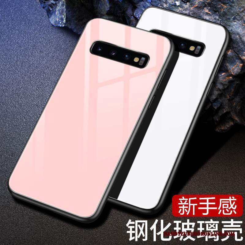 Custodia Samsung Galaxy S10+ Colore Rosa Monocromatico, Cover Samsung Galaxy S10+ Protezione Vento Vetro