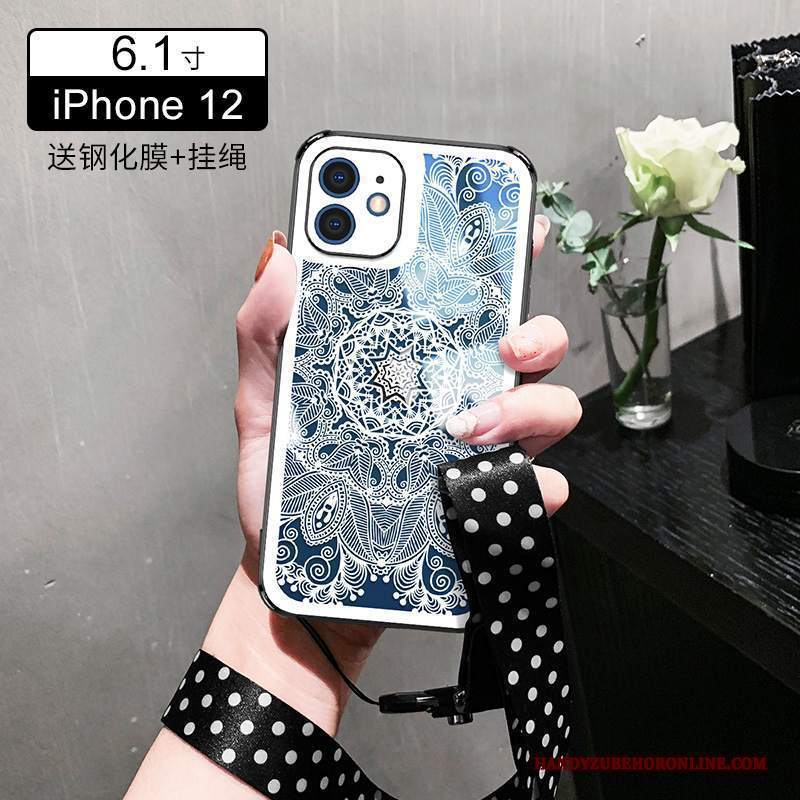 Custodia iPhone 12 Pro Max Silicone Vetro Anti-caduta, Cover iPhone 12 Pro Max Protezione Trasparente Di Personalità