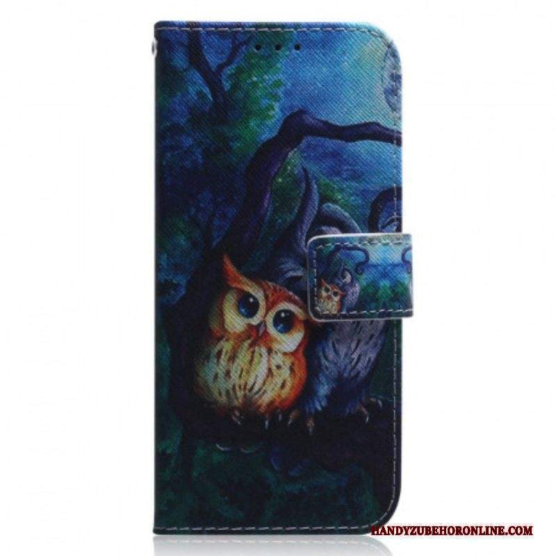 Custodia in pelle Xiaomi Redmi Note 11 Pro / 11 Pro 5G Dipinto Di Gufi